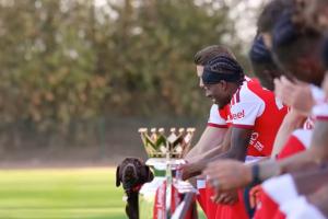 狗都带来了！阿森纳全家福拍摄拉布拉多到场 却没通知萨利巴
